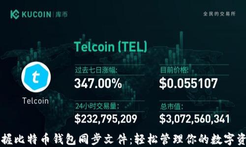掌握比特币钱包同步文件:轻松管理你的数字资产
