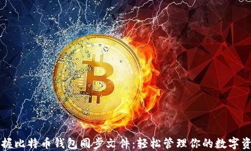 掌握比特币钱包同步文件:轻松管理你的数字资产