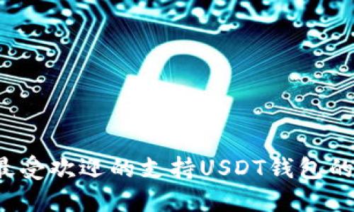 2023年最受欢迎的支持USDT钱包的平台推荐