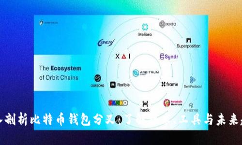 深入剖析比特币钱包分叉：了解技术、工具与未来趋势