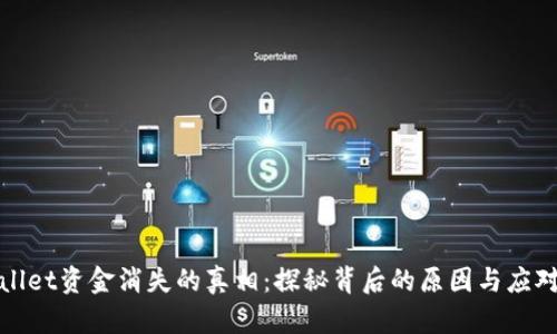 TPWallet资金消失的真相：探秘背后的原因与应对策略