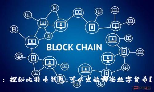 : 探秘比特币钱包:可以发放哪些数字货币?