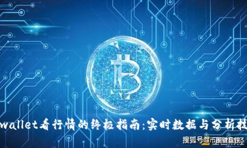 tpwallet看行情的终极指南：实时数据与分析技巧