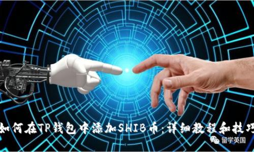 如何在TP钱包中添加SHIB币：详细教程和技巧