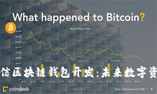 打造高效安全的微信区块链钱包开发:未来数字资产管理的优选方案