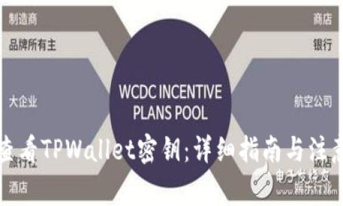 如何查看TPWallet密钥:详细指南与注意事项
