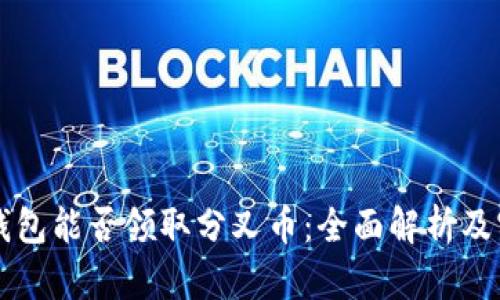 比特币钱包能否领取分叉币：全面解析及实用指南