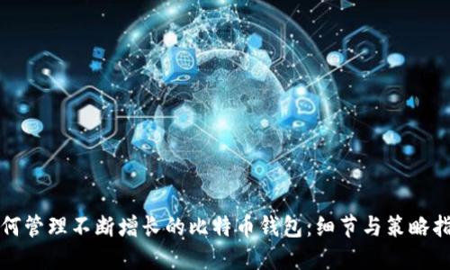 如何管理不断增长的比特币钱包：细节与策略指南