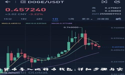 如何将货币导入比特币钱包：详细步骤与实用技巧
