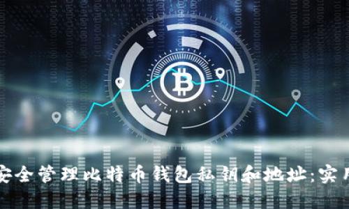 如何安全管理比特币钱包私钥和地址：实用指南