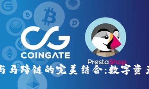 探索TPWallet与马蹄链的完美结合：数字资产管理的新趋势