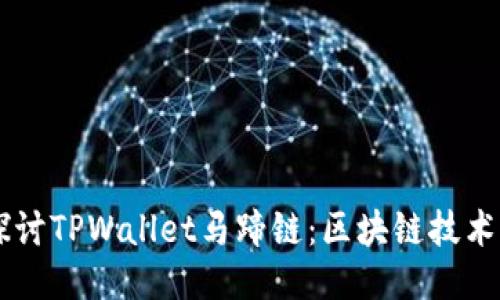 深入探讨TPWallet马蹄链：区块链技术的新星