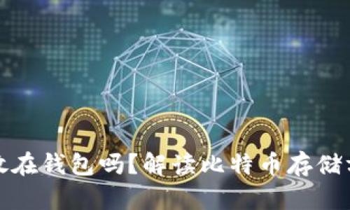 比特币可以放在钱包吗？解读比特币存储方式与安全性