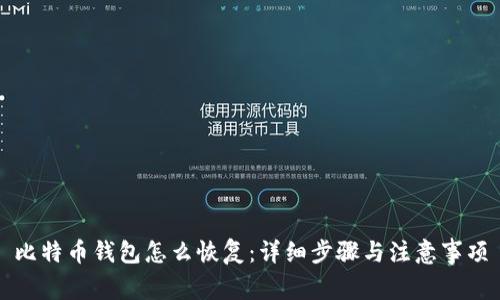 比特币钱包怎么恢复：详细步骤与注意事项