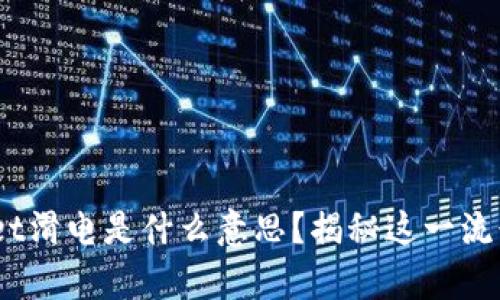  bisoustpwallet滑电是什么意思？揭秘这一流行语的背后含义