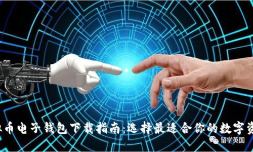 2023年虚拟币电子钱包下载指南：选择最适合你的数字资产管理工具