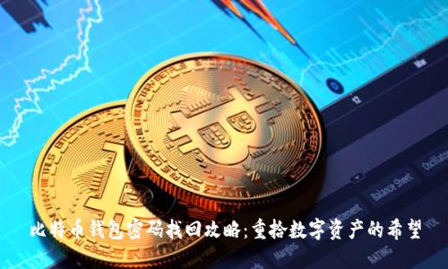 比特币钱包密码找回攻略：重拾数字资产的希望