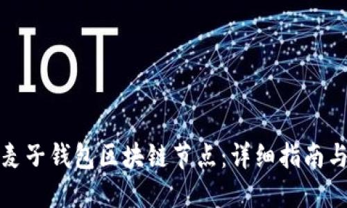 如何搭建麦子钱包区块链节点：详细指南与实用技巧