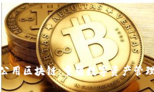 探秘钱包公用区块链：重塑数字资产管理的新趋势