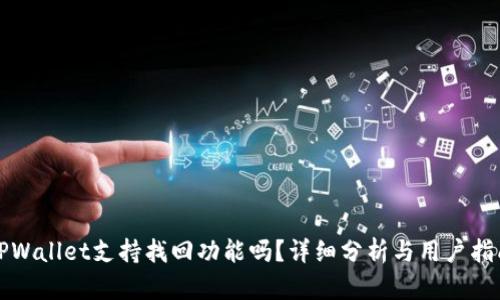 TPWallet支持找回功能吗？详细分析与用户指南