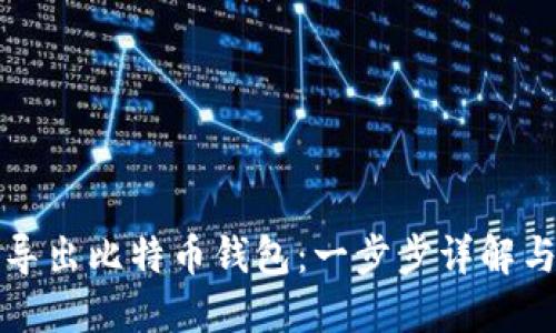 如何安全导出比特币钱包：一步步详解与实用技巧