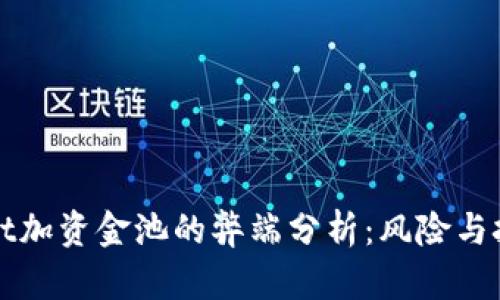 TPWallet加资金池的弊端分析：风险与挑战并存