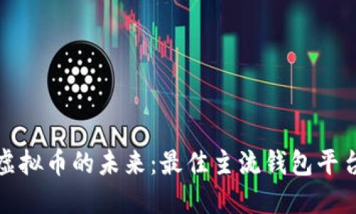 探索虚拟币的未来：最佳主流钱包平台推荐
