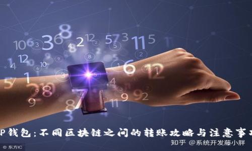 TP钱包：不同区块链之间的转账攻略与注意事项