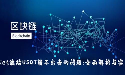 解决tpwallet波场USDT转不出去的问题：全面解析与实用解决方案