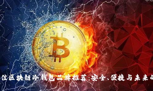 2023年最佳区块链冷钱包品牌推荐:安全、便捷与未来的完美结合