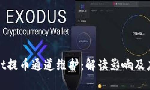 TPWallet提币通道维护：解读影响及应对策略