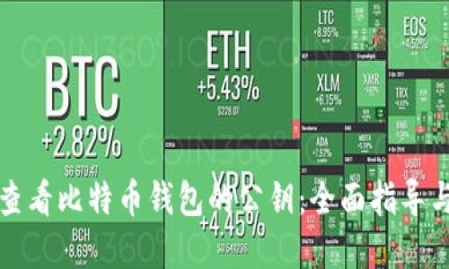 如何安全查看比特币钱包的公钥：全面指导与最佳实践