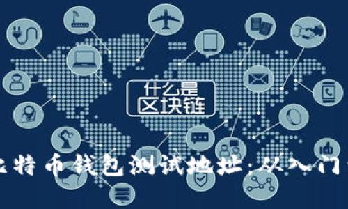 如何选择和使用比特币钱包测试地址：从入门到精通的全面指南