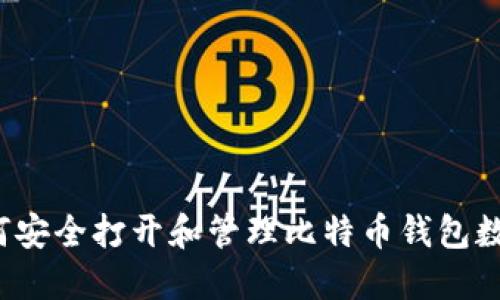 如何安全打开和管理比特币钱包数据？