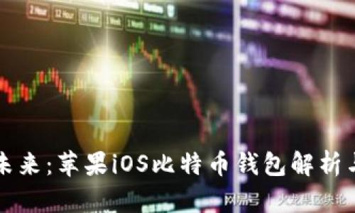畅享数字未来：苹果iOS比特币钱包解析与使用指南