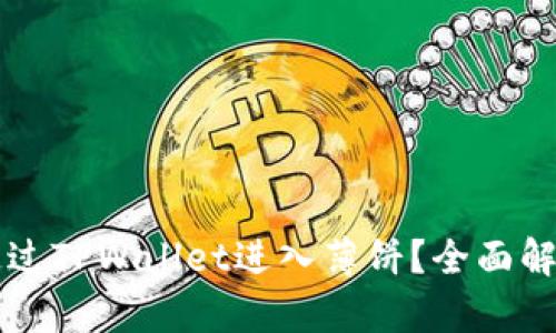 为什么无法通过TPWallet进入薄饼？全面解析与解决方案
