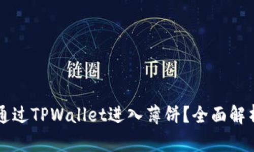 为什么无法通过TPWallet进入薄饼？全面解析与解决方案