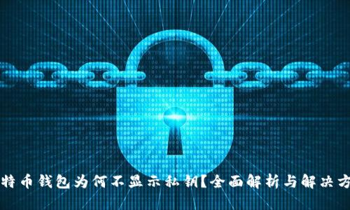 比特币钱包为何不显示私钥？全面解析与解决方案