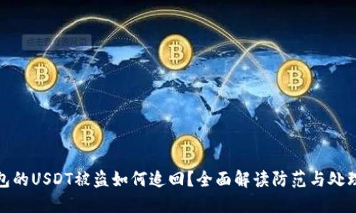 冷钱包的USDT被盗如何追回？全面解读防范与处理策略