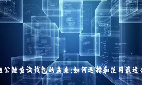 探索区块链公链查询钱包的未来：如何选择和使用最适合你的钱包