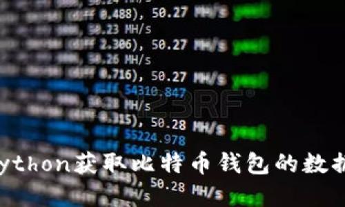 如何使用Python获取比特币钱包的数据：全面指南