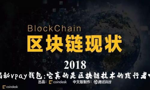:揭秘vpay钱包：它真的是区块链技术的践行者吗？