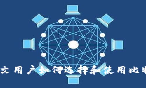 全面解析：中文用户如何选择和使用比特币手机钱包