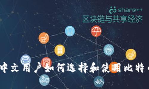全面解析：中文用户如何选择和使用比特币手机钱包