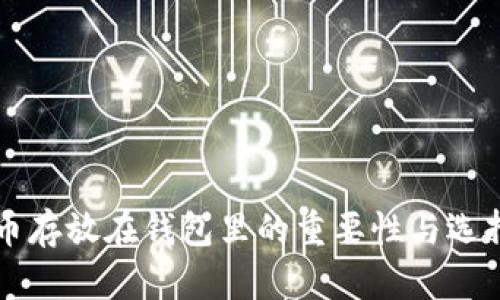 比特币存放在钱包里的重要性与选择指南