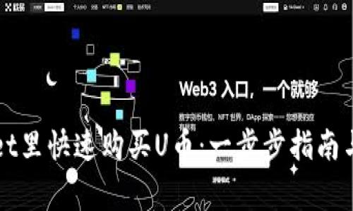 如何在TPWallet里快速购买U币：一步步指南与常见问题解答