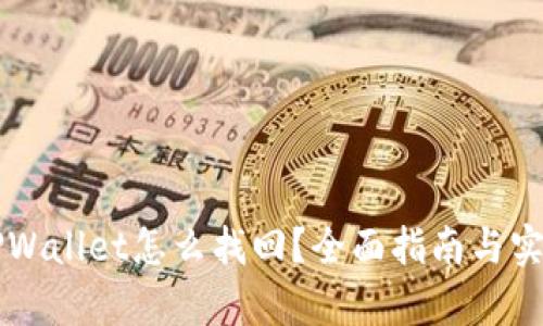 误删TPWallet怎么找回？全面指南与实例解析