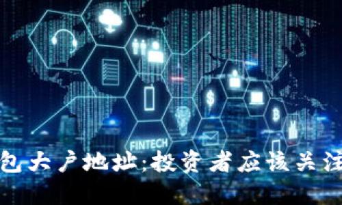 揭秘以太坊钱包大户地址：投资者应该关注的区块链动态