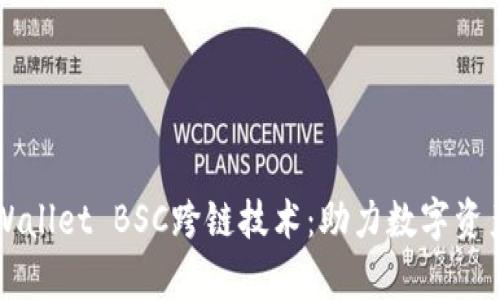 全面解析TPWallet BSC跨链技术：助力数字资产的无限可能