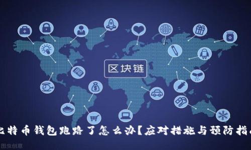 比特币钱包跑路了怎么办？应对措施与预防指南